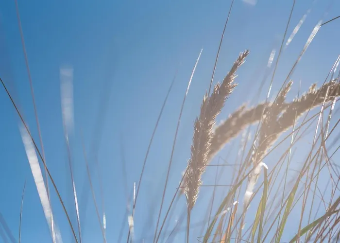 Lägenhet _von Witte_ Lindenstr_13 Whg_6